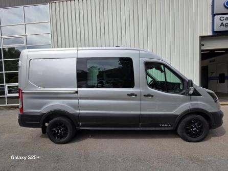 FORD Transit 2T Fg T350 L2H2 2.0 EcoBlue 170ch S&S Cabine Approfondie Tail à vendre à Saint-Claude - Image n°4