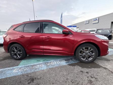 FORD Kuga 2.5 Duratec 190 ch FHEV E85 ST-Line X BVA à vendre à Troyes - Image n°4