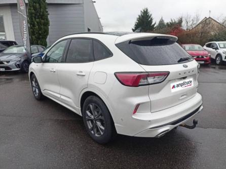 FORD Kuga 2.0 EcoBlue 150ch mHEV ST-Line X à vendre à Orléans - Image n°7