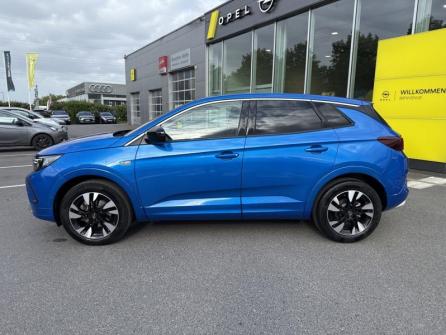 OPEL Grandland X 1.2 Turbo 130ch Elegance Business BVA8 à vendre à Montereau - Image n°8